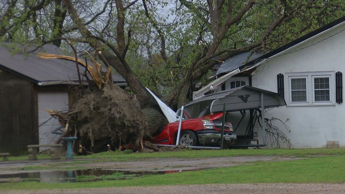 An EF-1 tornado uprooted trees and damaged buildings as it moved through Dixie Wednesday.