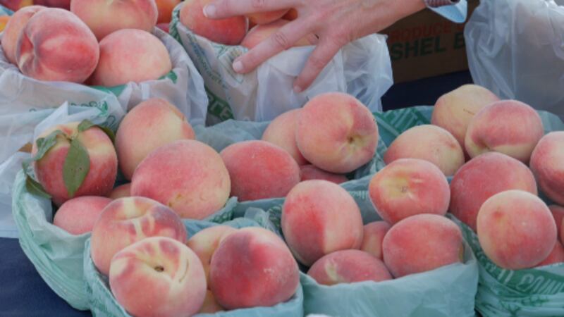 The Missouri Department of Agriculture is offering $50 free vouchers for low-income seniors...