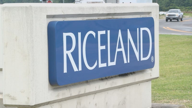Riceland Foods reported more than $1.3 billion in annual revenue at its yearly meeting in...