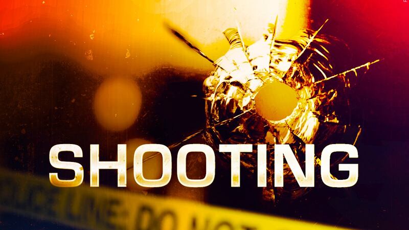 Multiple agencies responded to a shots fired call at Hayti City Park Saturday.