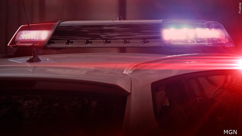 A Dyersburg, Tenn. parent was cited after police and school leaders say she brought a weapon...
