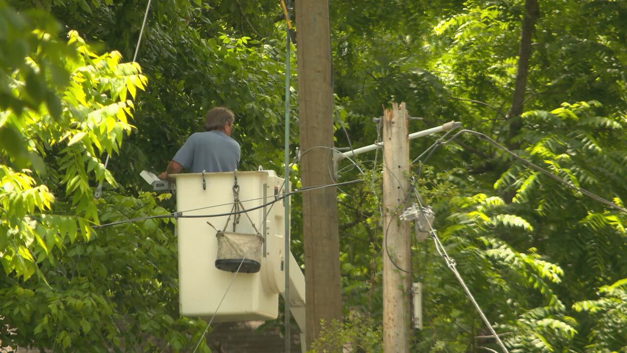 Hardy continues with storm cleanup - Vimarsana News