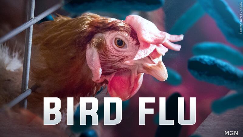 Testing has confirmed a case of avian influenza on an Arkansas poultry farm in Madison County.