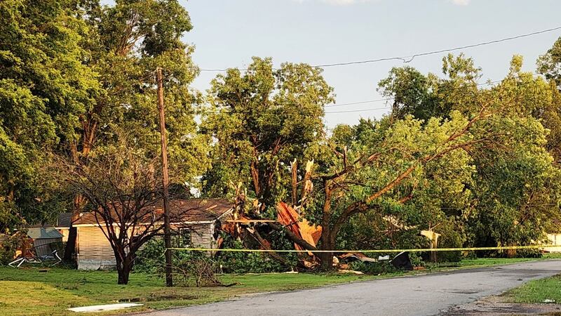Severe storms, packing powerful winds, toppled trees across the Poinsett County town of Marked...
