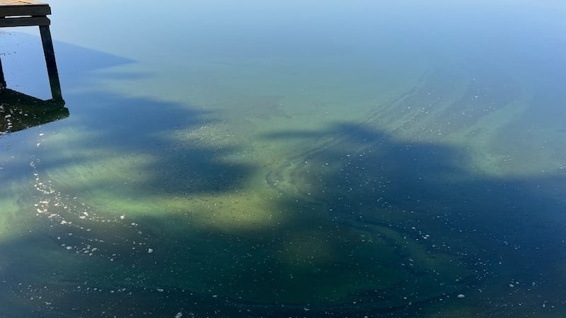 The AGFC said a harmful algal bloom (HAB) has been detected in the lake near Waldenburg in...