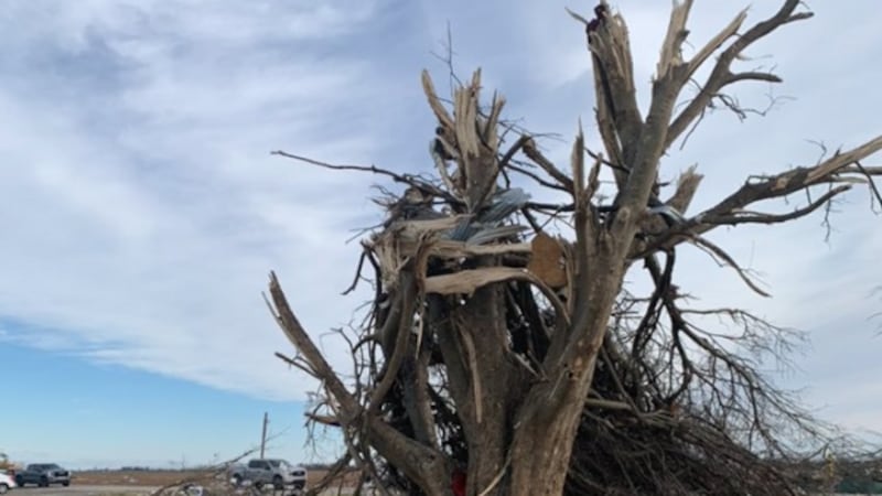An EF-4 tornado went through Monette and Leachville Dec. 10, according to the National Weather...